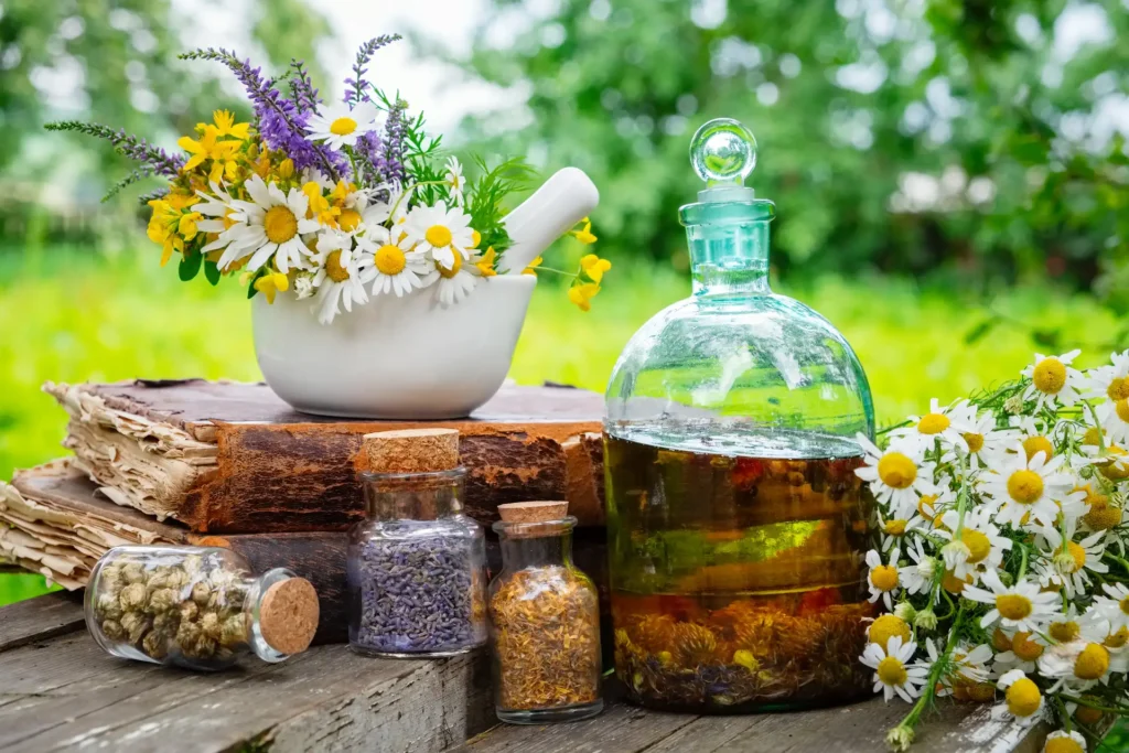 Consulenza di naturopatia a Cerveteri per equilibrio e vitalità naturale